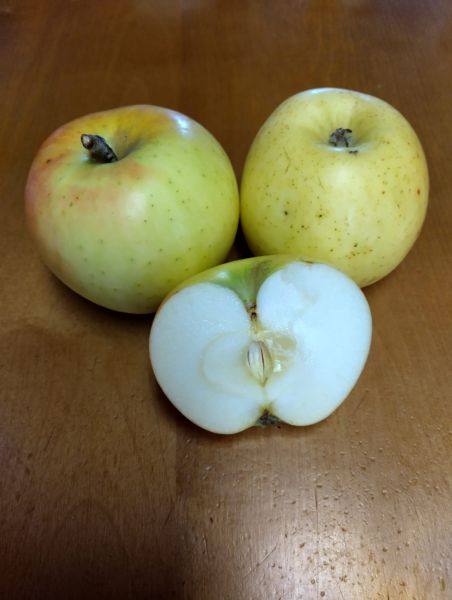 Äpfel Landsberger Renette (süß)