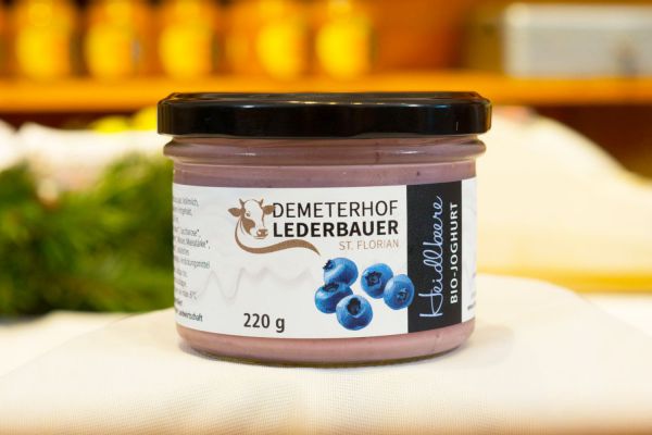 Fruchtjoghurt Heidelbeere