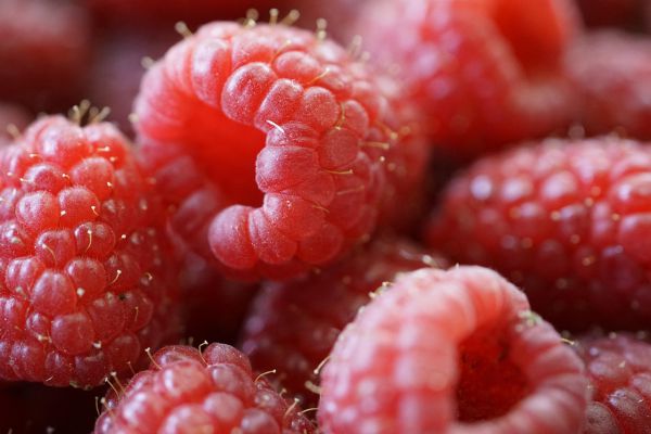 HImbeerenTiefkühl OFFEN