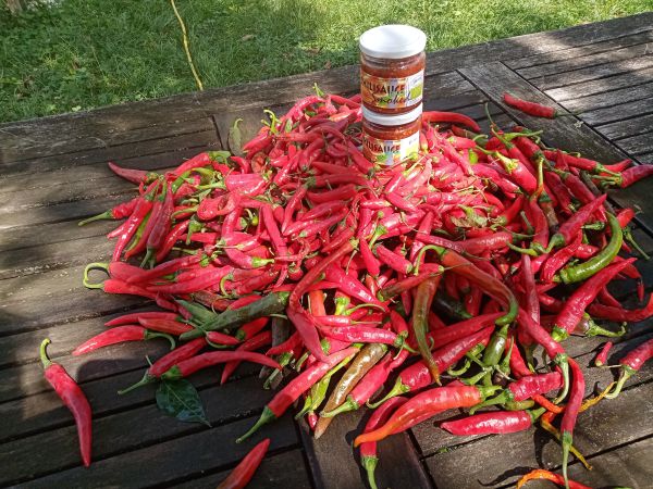 Chili Sauce, Harrief -süß-scharf