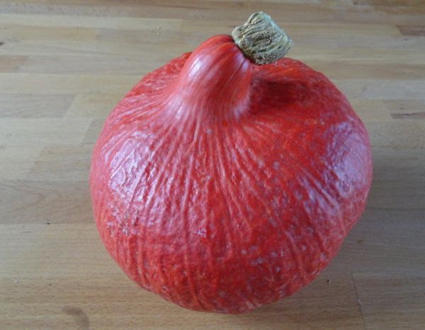 Kürbis Hokkaido (3,08 €/kg) - Preis nach Gewicht