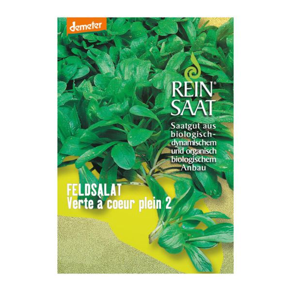 Feldsalat (Vogerlsalat) Verte a coeur plein 2