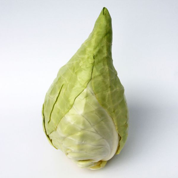 Spitzkraut ca.1 kg