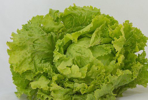 Eissalat - Grazer Krauthäupel