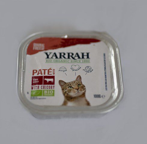 Katze Pate Rind