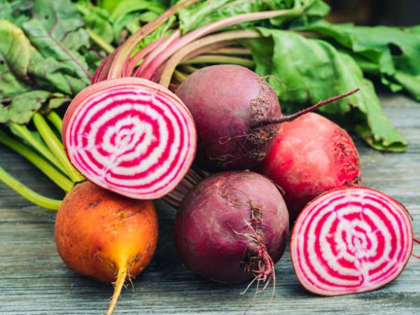 Chioggia Rüben