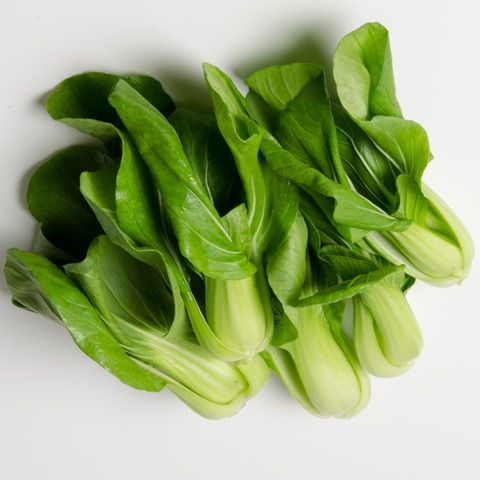 Asia Salat Pak Choi