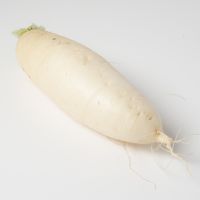 Rettich weiß Rettich weiß