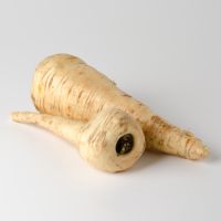 Pastinaken Pastinaken