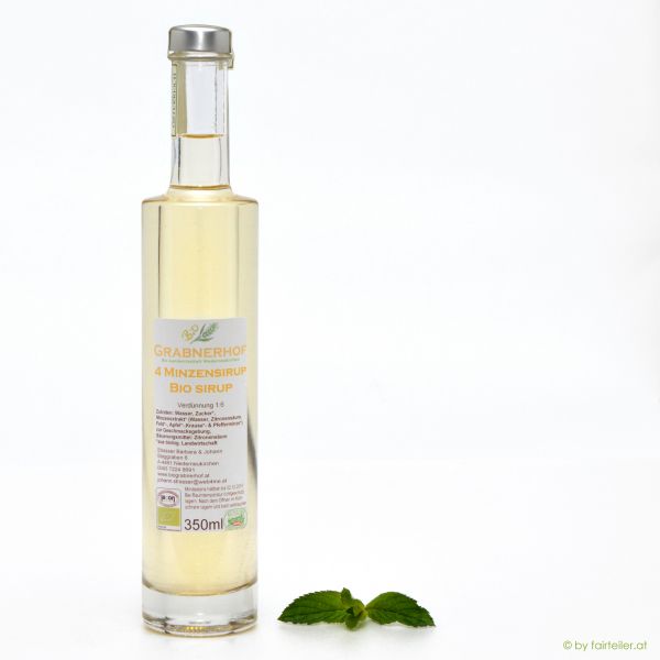 Hollerbeerenfrucht Sirup