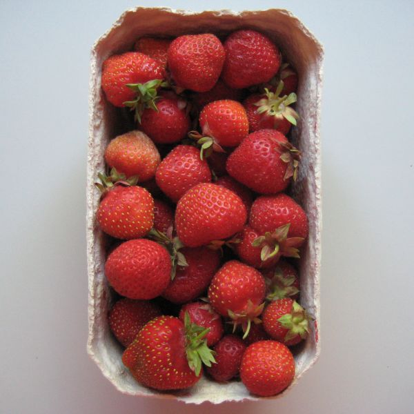 Erdbeeren