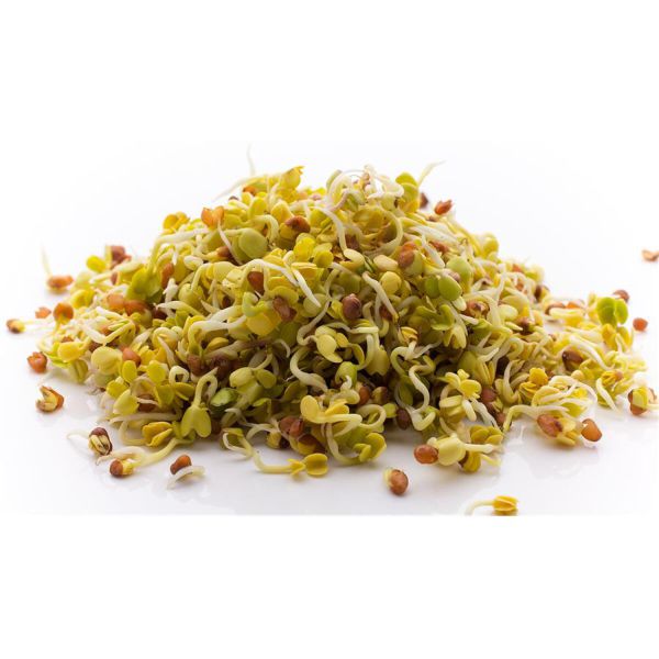Rettich-Sprossen AT 75 g