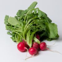 Radieschen Radieschen