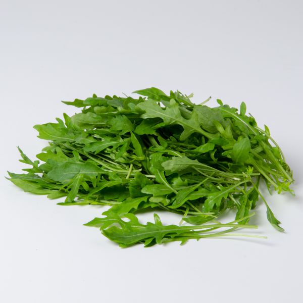 Rucola