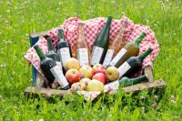 Apfel-Marillesaft Apfel-Marillesaft