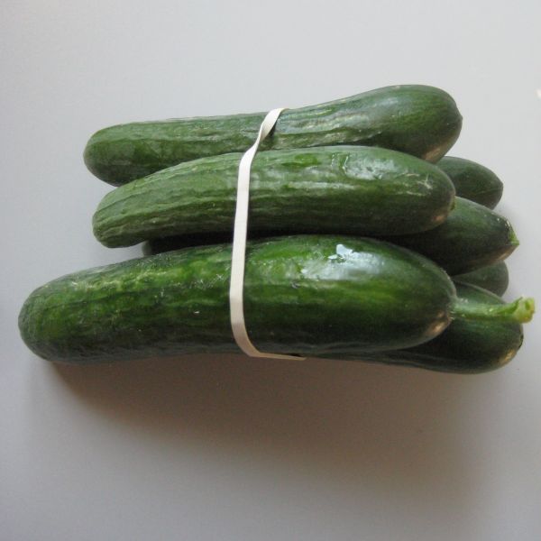 Minigurken (300g)