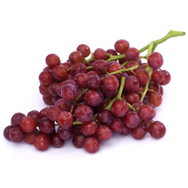 Trauben Rot "Black Cherry"