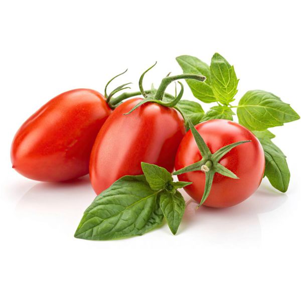 Tomaten San Marzano