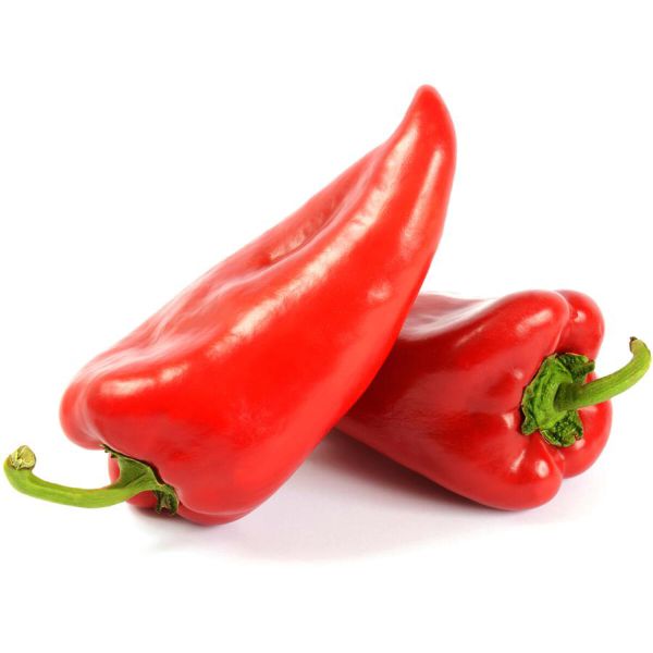 Spitzpaprika rot