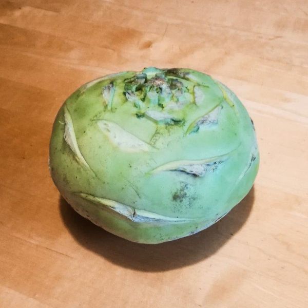 Kohlrabi