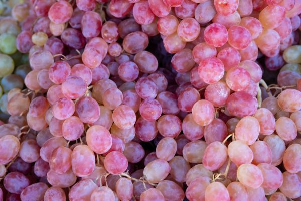 Trauben Rosa kernlos