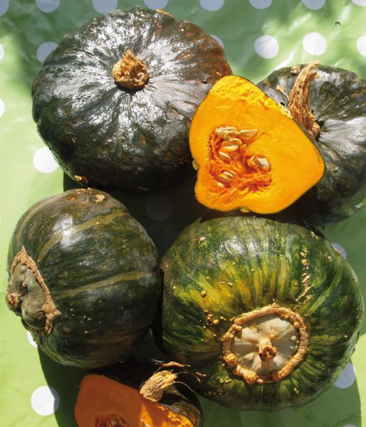 Kürbis Buttercup (€ 2,80/kg)