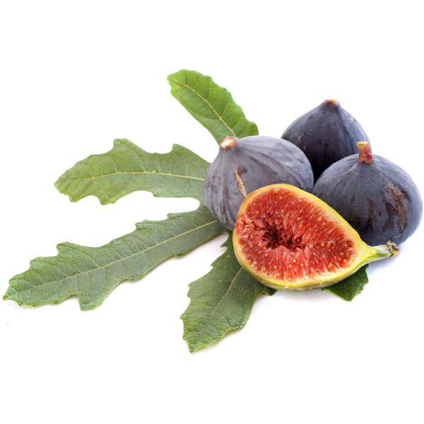Feigen Schwarz Bourjassotte