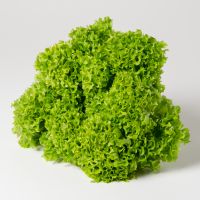 Lollo bionda Lollo bionda