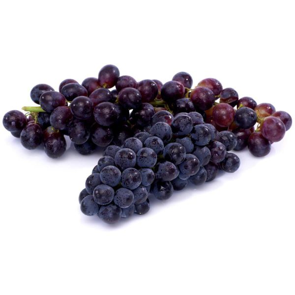 Trauben Rot "Red Globe"