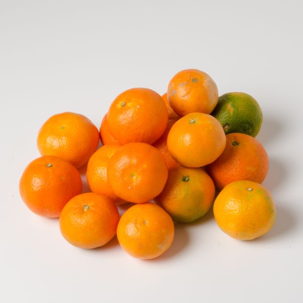 Clementinen aus Griechenland (Vorbestellung)