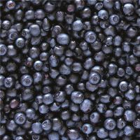 Wildheidelbeeren Tiefkühl Wildheidelbeeren Tiefkühl