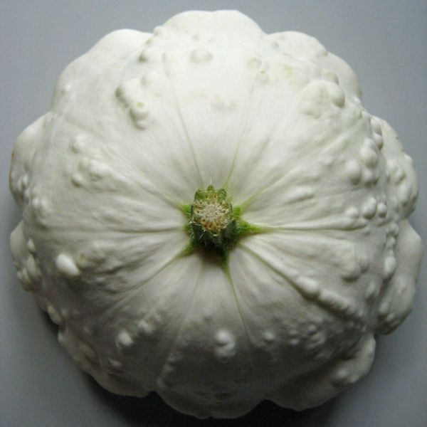 Ufo Kürbis weiß (€ 2,86/kg)Verrechnung nach Gewicht