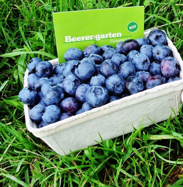 Heidelbeeren