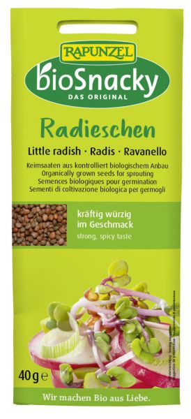 Keimsaat Radieschen