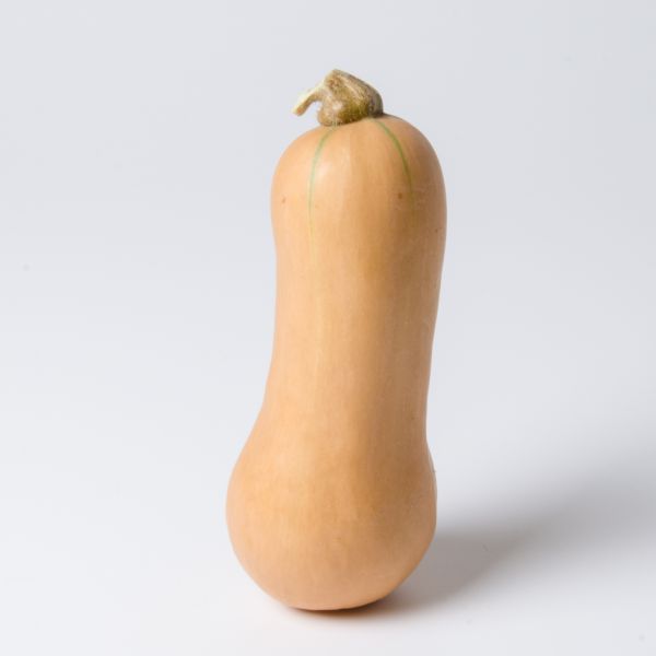 Kürbis Butternuss € 3,20/kg