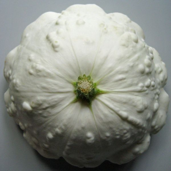 Ufo Kürbis weiß (€ 2,66/kg)Verrechnung nach Gewicht