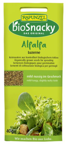 Keimsaat Alfalfa (Luzerne)
