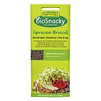 Keimsaat Broccoli