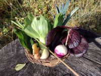 Wokgemüse Mix Wokgemüse Mix