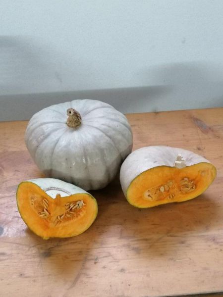 Blauer Winterkürbis Crown Prince, Spalte (3,23 €/kg)