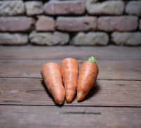 Karotten Ochsenherz Karotten Ochsenherz