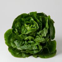 Mini Romanasalat Mini Romanasalat