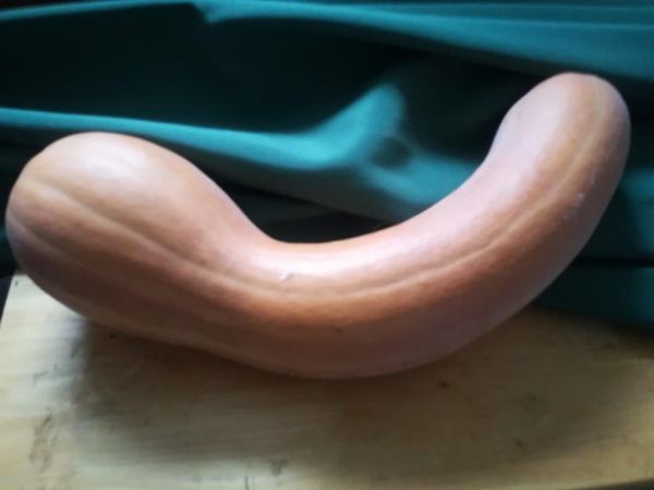 Long de Nice (3,08 €/kg) - halbiert ca.2 kg