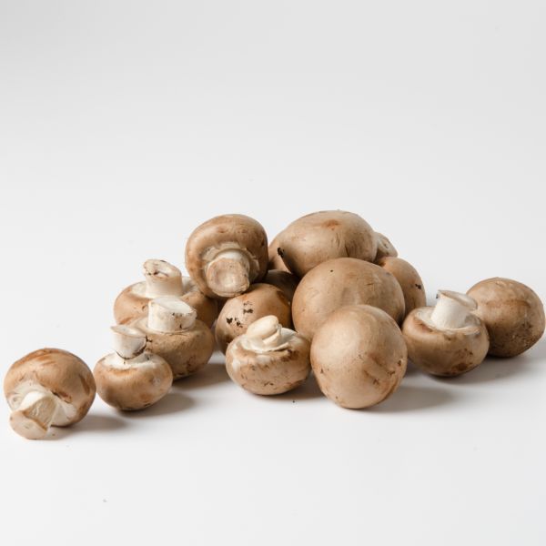 Champignons Crema/braun