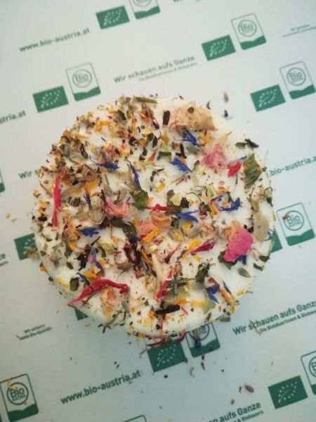 Schäferkas Sonnenschein