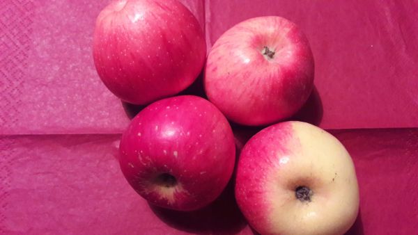 Querina Äpfel süßlich, saftig, rot