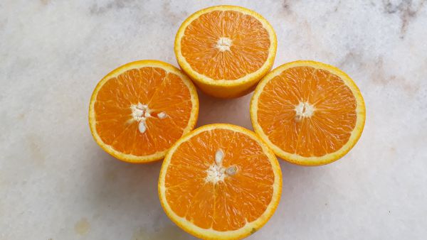 Mai-Orange Valencia ca. 9-9,5 kg/Box (saftig, süßlich) - AKTION für 19.5.2025