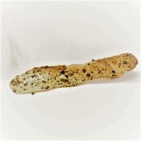 Knoblauchstangerl mit Kürbiskernen Knoblauchstangerl mit Kürbiskernen