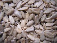 Sonnenblumenkerne regional zum selber Rauswiegen (8,50 €/kg) Sonnenblumenkerne regional zum selber Rauswiegen (8,50 €/kg)