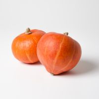 Kürbis Hokkaido Kürbis Hokkaido